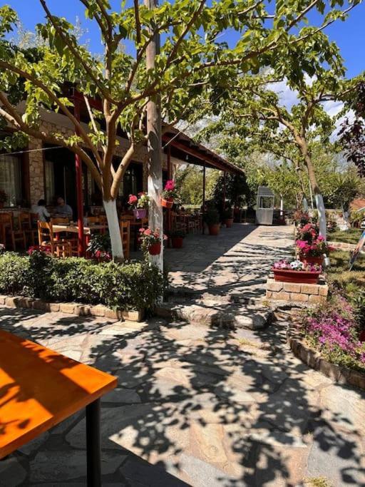 Family Woodland Oasis Vipgreece Apartment Kirinthos Ngoại thất bức ảnh